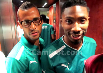 Dans le nid des éperviers