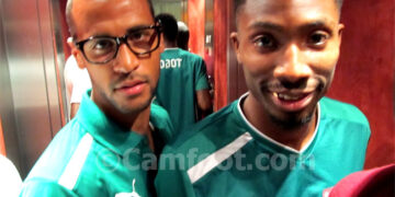 Dans le nid des éperviers