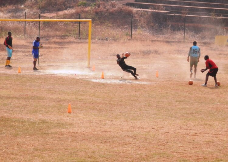 Vers une pelouse en gazon synthétique
