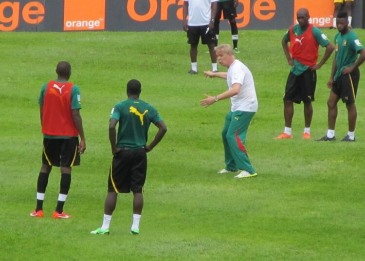 Mfandena : La matinée des lions en images