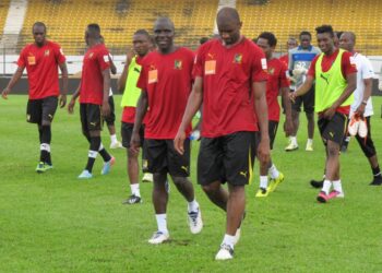 Lions: Vendredi en images