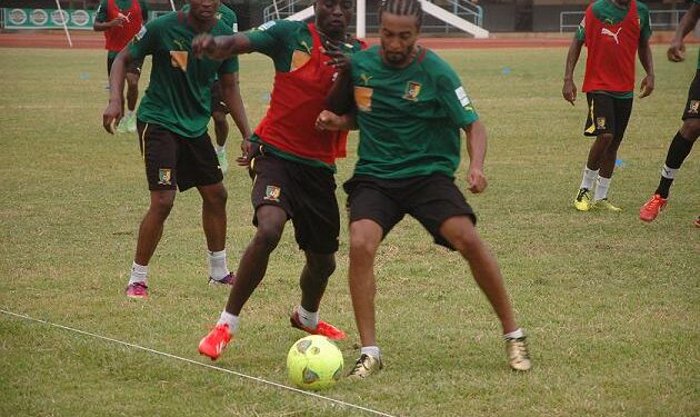 Lomé: Les lions se sont entraînés