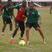 Lomé: Les lions se sont entraînés