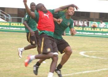 Sécurité maximale autour des lions