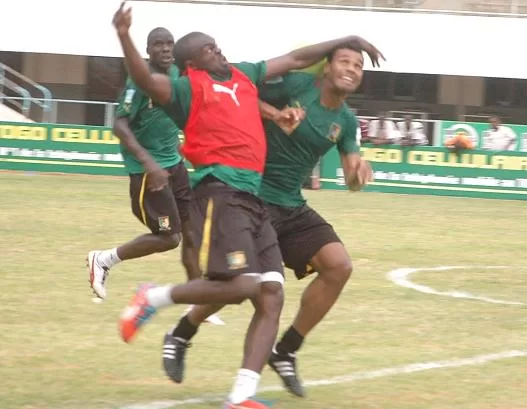 Sécurité maximale autour des lions