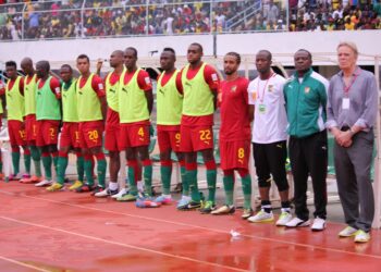 Les Lions se compliquent la tâche