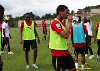 Les Lions sans Assou-Ekotto