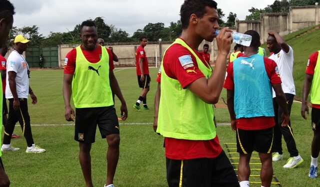 Les Lions sans Assou-Ekotto