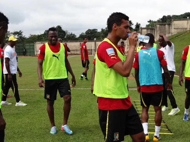 Les Lions sans Assou-Ekotto