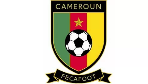 La chambre de recours de la Fécafoot annule les élections