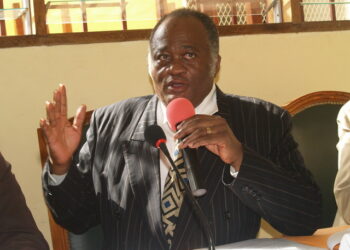 Joseph Owona, Président du comité de normalisation