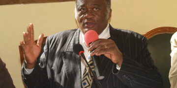 Joseph Owona, Président du comité de normalisation