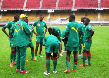 Les Lions A’ se rodent