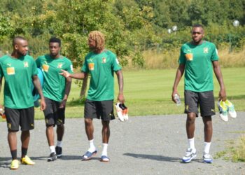 Stage : Les Lions sont à Lisses