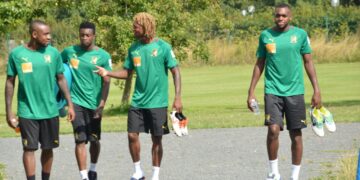 Stage : Les Lions sont à Lisses