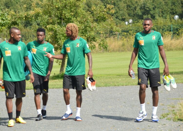 Stage : Les Lions sont à Lisses