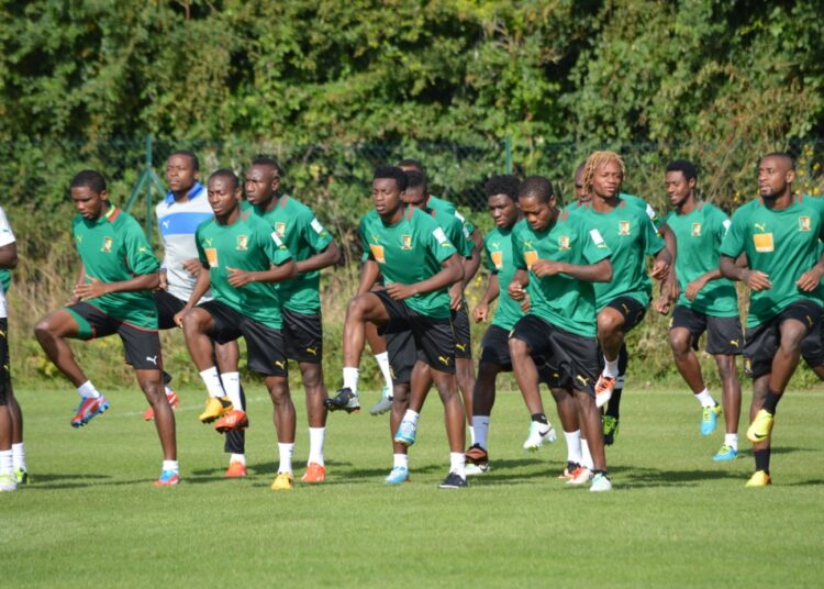 Le Mardi matin à Lisses