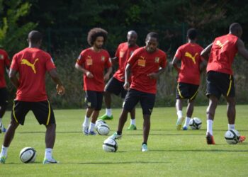 Lions Indomptables: Qui l’adjoint numéro 1?