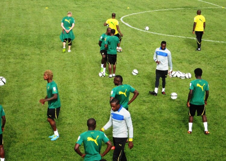 Cameroun – Libye: Des Lions toutes griffes dehors