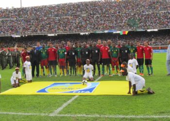 Play-offs-Brésil 2014: Quel adversaire pour les Lions?