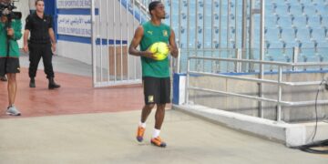 Lions: Reconnaissance du terrain
