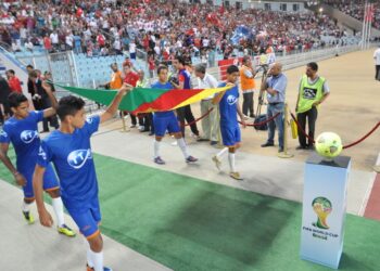 Tunisie – Cameroun: Des regrets
