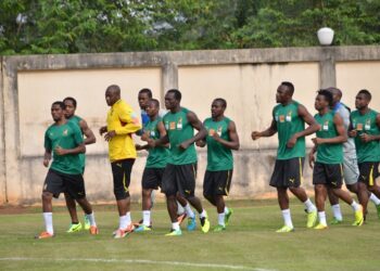 Le mardi après-midi des lions