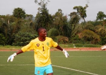 Portrait: Petit à petit, Abogo fait son nid