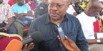 Jean Stéphane Biatcha, secrétaire exécutif de Synergies Africaines : « C’est original »