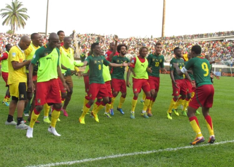 Rétrospective : le football camerounais en 2013 (2/2)