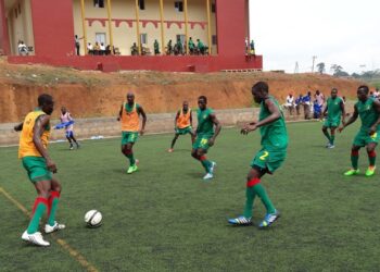 Lions juniors: Une équipe en chantier depuis lundi