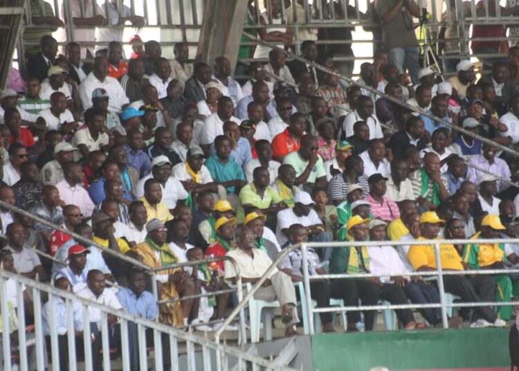 Union – Panthère en images