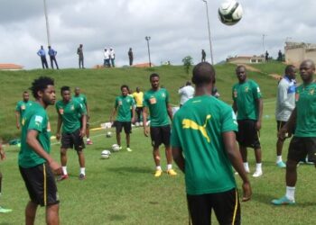 Lions Indomptables : une équipe nommée pour le scouting