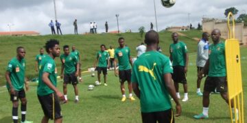 Lions Indomptables : une équipe nommée pour le scouting
