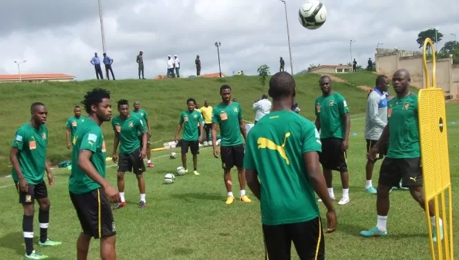 Lions Indomptables : une équipe nommée pour le scouting
