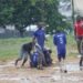 Douala : Les militaires en mode football (images)