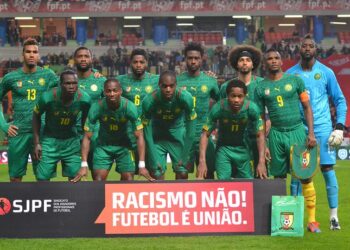 Préparation Mondial 2014 : Les 30 Lions de Finke