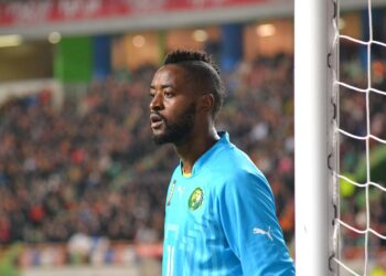 Gardiens de but : Charles Itandje, le plus côté