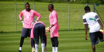 Stage des lions : le programme de la journée de Vendredi