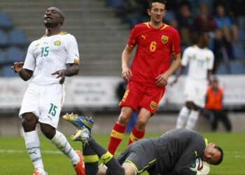 Macédoine – Cameroun: Un très bon Djeugoue