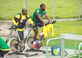 Lions indomptables : les images du décrassage