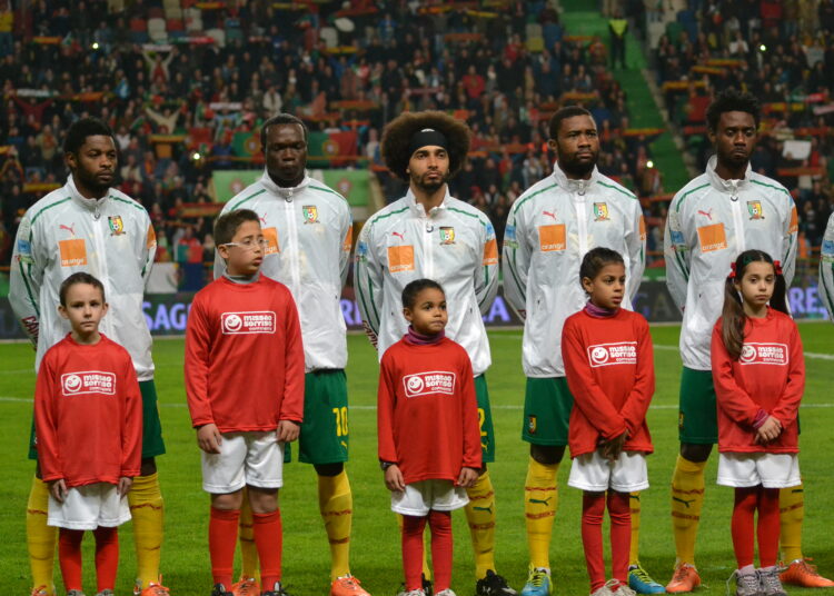 Préparation Mondial 2014 : les Lions avec Fedjou, Salli, Olinga et Djeugoue