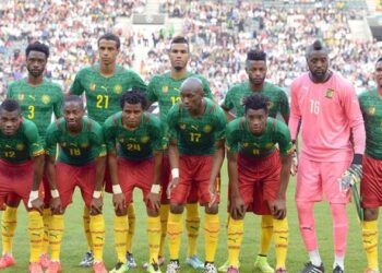 Mondial 2014 : Les 23 Lions avec Djeugoué et Feudjou sans Idrissou