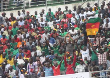 Ambiance : Au « Shabba », cœur du douzième joueur