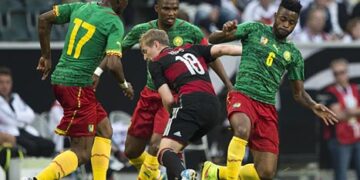 Lions Indomptables: En ordre de bataille