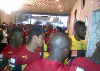 Brésil 2014 : le départ des Lions en images