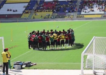 Vitoria: Premier entraînements des Lions en vidéo