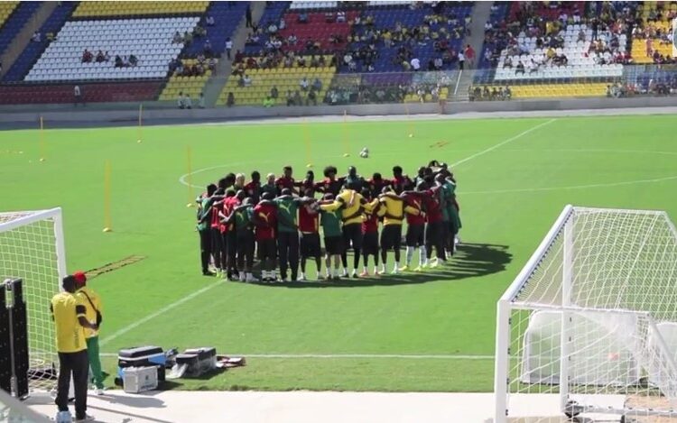 Vitoria: Premier entraînements des Lions en vidéo