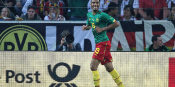 Spécial Lions : quelles chances face au Mexique ?