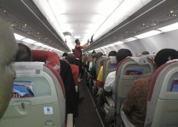 Vitoria : Le retour des Lions en images